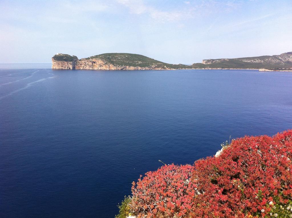 Solelunamare Guest House Alghero Bagian luar foto
